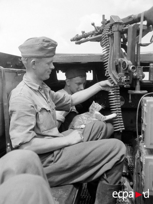 During The Battle Of Kursk, The Crew Sd.kfz.250. Panzer-grenadier-division Großdeutschland.1943