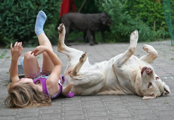 Like Owner Like Dog :d