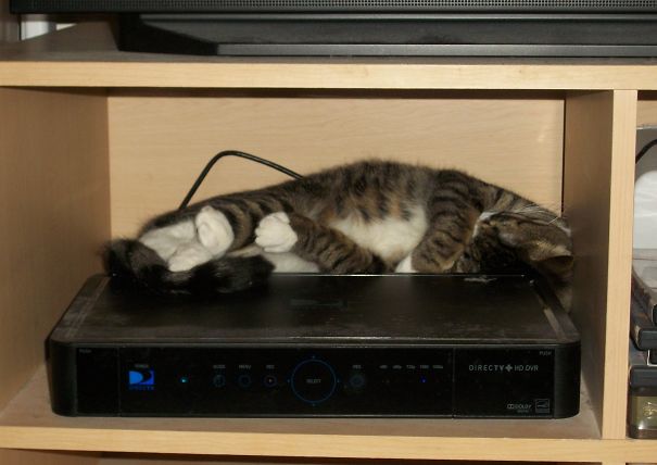 Jack And His Favorite Box