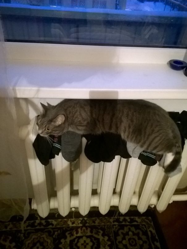 Warm Socks