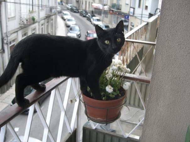 Ulisses Takes Good Care Of Plants