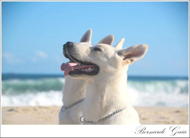 The Twins Only Go To The Beach Together!