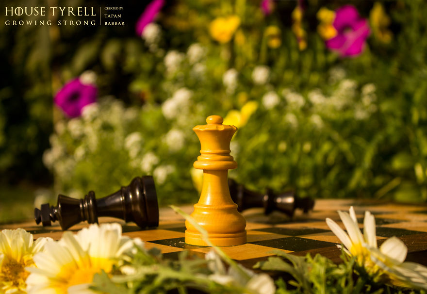 Game Of Thrones Houses Created With Chess