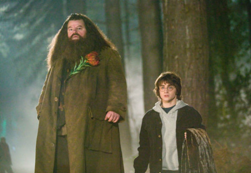 5 Reasons Why Hagrid Is Basically Your Grandmother 5 Reasons Why Hagrid Is Basically Your Grandmother