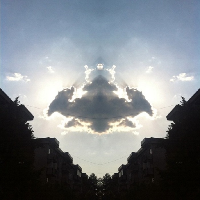 Dolphin In Mirror = Batman Logo