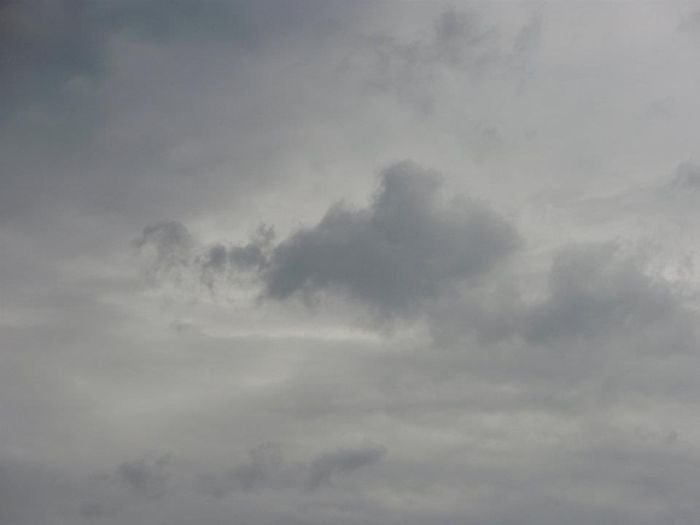 Horse-drawn Carriage