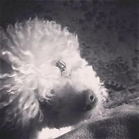 sona_grigoryan_7169 avatar