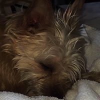 kennedy_pinnell_1 avatar