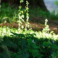 pamela_nielsen_547 avatar