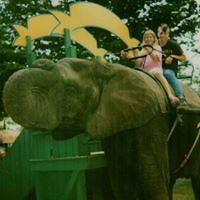 lillian_gardener avatar