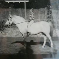 susan_levett_9 avatar