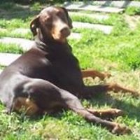 christinawashere avatar