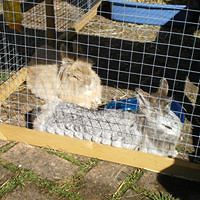 sandra_marshall_503 avatar