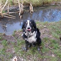 debra_b_jefferson avatar