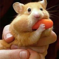 rosemary_baxter3 avatar