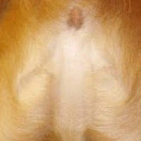 jesuiscequejesuis avatar