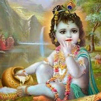 colleenvaughan avatar