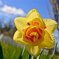 ideroumaniewalker avatar