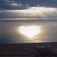 jacqueline_conroy_77 avatar