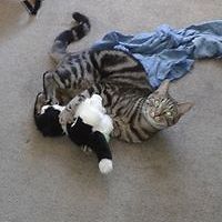 teri_jefferies avatar