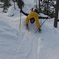 monica_bengtsson_73 avatar