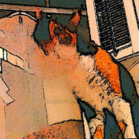 lillanheimburger avatar