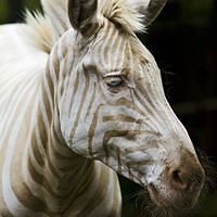 5523a8c1d31d4 avatar