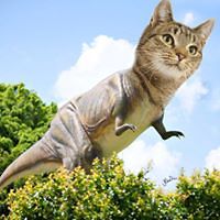 JonnyJReading avatar