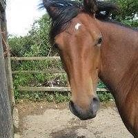 sara_handley_397 avatar