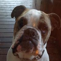 andy_coyne_148 avatar