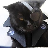 david_stuckey_161 avatar