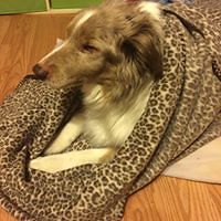 sydney_wheeler_58 avatar