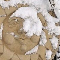 lisa_p_fleming_7 avatar