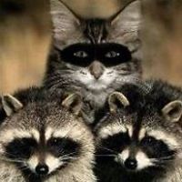 bea_brown_5496 avatar