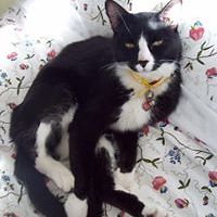 amanda_clark_73550 avatar