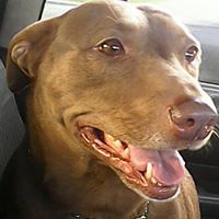 rebecca_strawser avatar