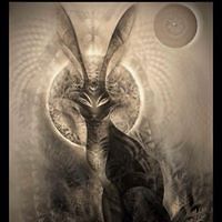 jennifer_n_guest avatar