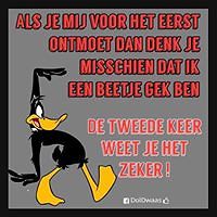 DianavandePoll avatar