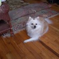 kathryn_burnham1 avatar