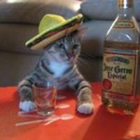 jessica_ginet_7 avatar