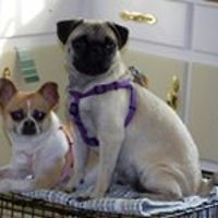 stephanie_batten_562 avatar