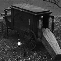 maroziapaulinha_teasdale avatar