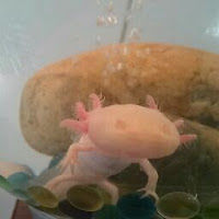 annajesipowicz avatar