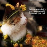 552c3c8f56ad3 avatar