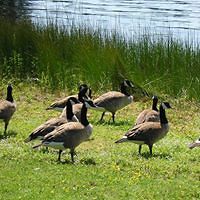 552cadcb6baae avatar