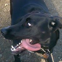 552cff4d68cb7 avatar