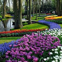 552d557504f17 avatar