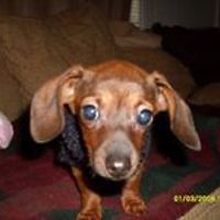 552d56ffa8b01 avatar