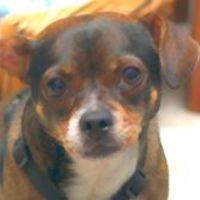 552d78213ee47 avatar