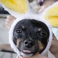 552d7edd93e8b avatar